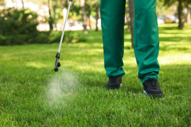 Best Pest Control for Homes  in Rutland, VT