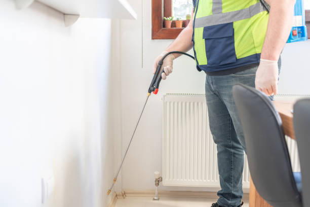 Flea Control Services in Rutland, VT