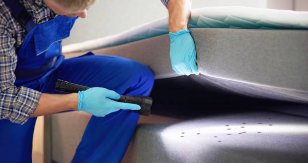 Best Pest Control for Businesses  in Rutland, VT