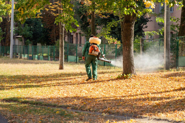Pest Control for Restaurants in Rutland, VT